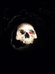 a skull on a dark background